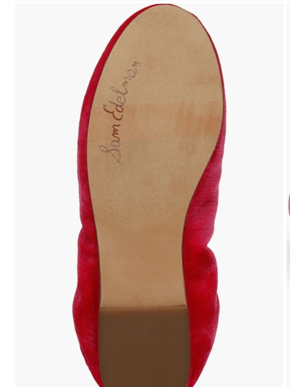 Sam Edelman Felicia Ballet Flat in Pink Topaz - Picture 3 of 5